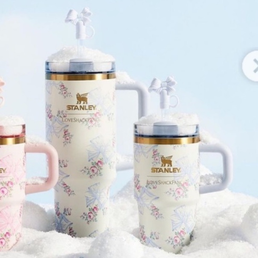 LOVESHACKFANCY STANLEY Tumbler 40oz and 20oz Set Rosa Beaux Blue